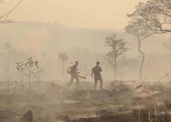 Incêndios no Paraguai. Foto: Agência IP