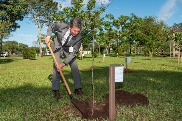 DGB plantou um ipê-amarelo no Bosque do Visitante. Foto: Rubens Fraulini/Itaipu Binacional.