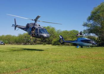 Helicópteros da PF do Brasil ajudam a localizar as plantações de maconha. Foto: SENAD/divugação
