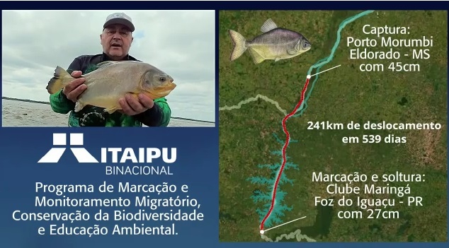 Foto: reprodução do vídeo da Itaipu Binacional.