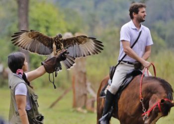 Falcoaria, a nova atração de Foz do Iguaçu. Foto: divulgação