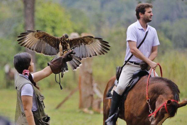 Falcoaria, a nova atração de Foz do Iguaçu. Foto: divulgação