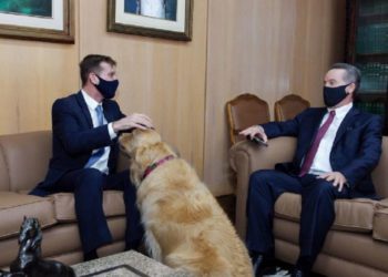 Desde o início do ano a cadela da raça Golden Retriever Tikinha, animal de estimação do presidente, conselheiro Fabio Camargo, vem frequentando o TCE-PR. Foto: TCE-PR