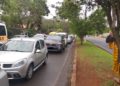 Avenida Araucária. Foto: Não Viu?