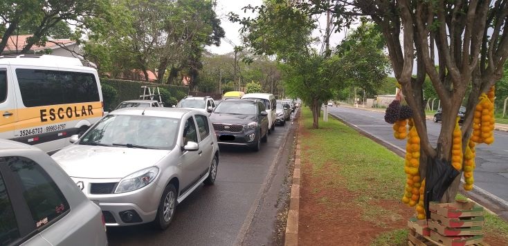 Avenida Araucária. Foto: Não Viu?