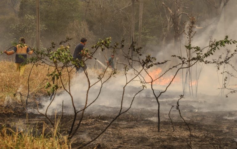 Queimada criminosa no Paraguai. Foto: Agência IP