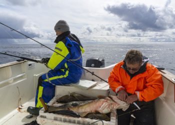 Pesca de bacalhau na Noruega. Foto: Pixabay