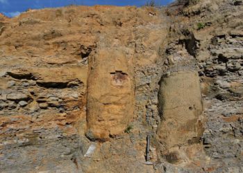 as árvores encontradas fossilizadas “estão preservadas dentro da rocha da exata maneira em que viviam”. Foto: Thammy Ellin Mottin/Divulgação