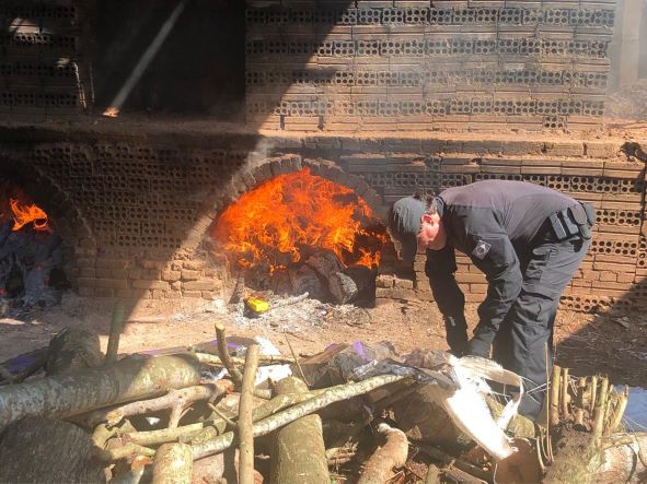 Incineração de drogas realizada ontem (15). Fotos: PF/Divulgação