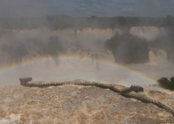 Cataratas com vazão de 16 milhões de litros por segundo. Fotos: fotografia: Edi Emerson #FotoEquipeCataratas