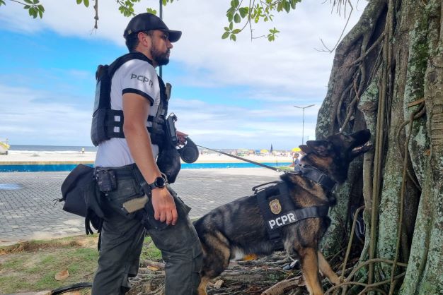 PR realiza fiscalização com auxílio de cães policiais no Litoral -
Fotos: PCPR