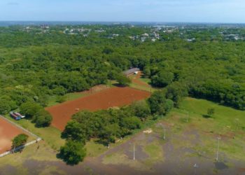 Nesta área verde deve ser construído o EcoParque Itaipu. Foto aérea: captura de tela/VideoUp