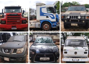 Alguns dos veículos que serão leiloados. Fotos: Thiago Dutra/PMFI