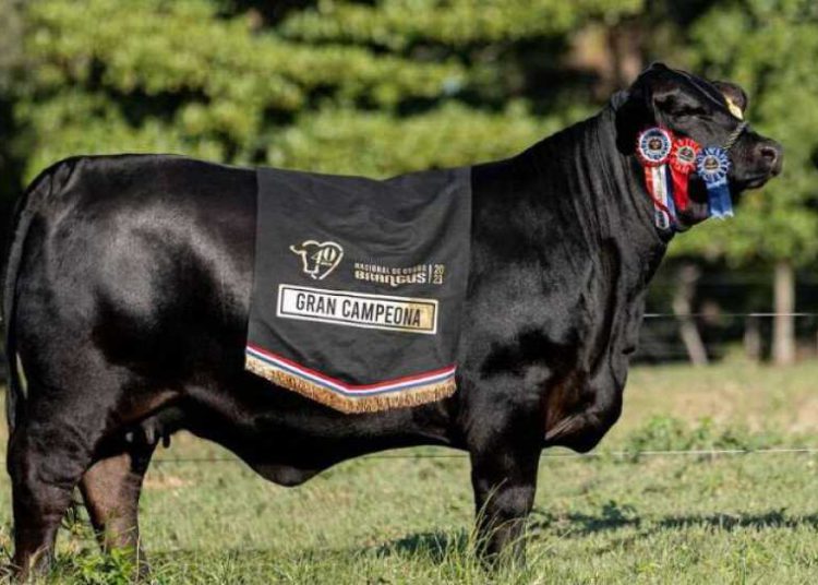 A campeã Tamy. Foto: divulgação