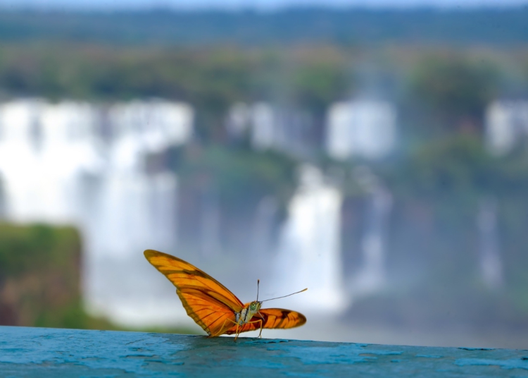 Cataratas do Iguaçu. Foto: Equipe Cataratas/Divulgação