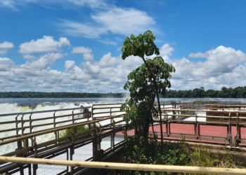 Cataratas do Iguaçu do lado argentino. Foto: Parque Nacional Iguazú