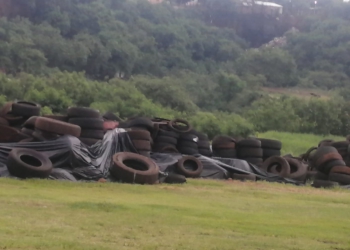 Depósito de pneus em céu aberto num terreno da Prefeitura de Ciudad del Este. Foto: cortesia