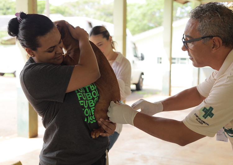 Vacinação gratuita contra a raiva em Foz do Iguaçu. Foto: PMFO