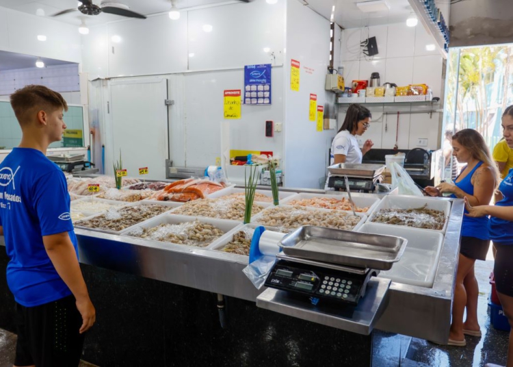 Vigilância Sanitária dá dicas sobre compra de peixes durante a Semana Santa
Foto: Gabriel Rosa/AEN