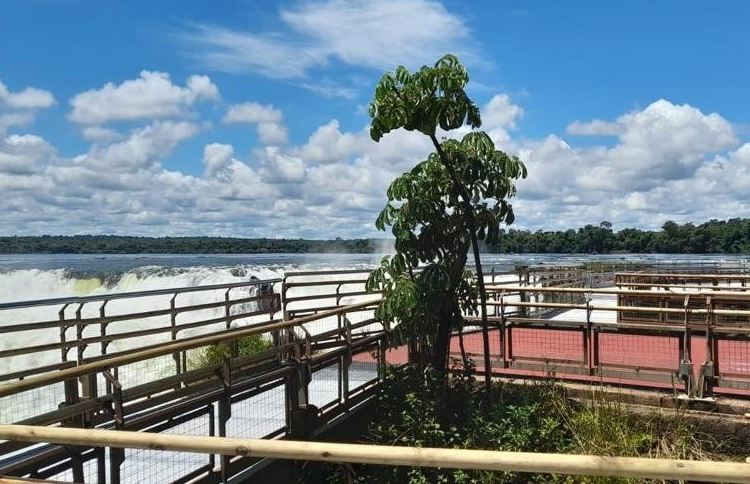 Passarela do lado argentino das Cataratas do Iguaçu. Foto: reprodução/instagram