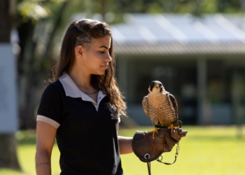 O Eco Park é um espaço dedicado a contar a relação entre os homens e os animais. Foto: divulgação