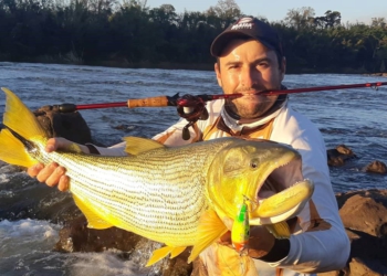 Reserva para pesca do Rio Ivaí movimenta economia e ajuda a preservar o meio ambiente ao longo de 27 municípios do Paraná
Foto: SEDEST-PR