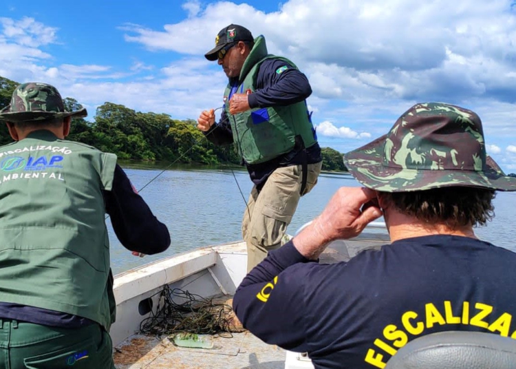 Piracema: proibição de pesca predatória na Bacia do Rio Paraná começa na sexta-feira
Foto: IAT