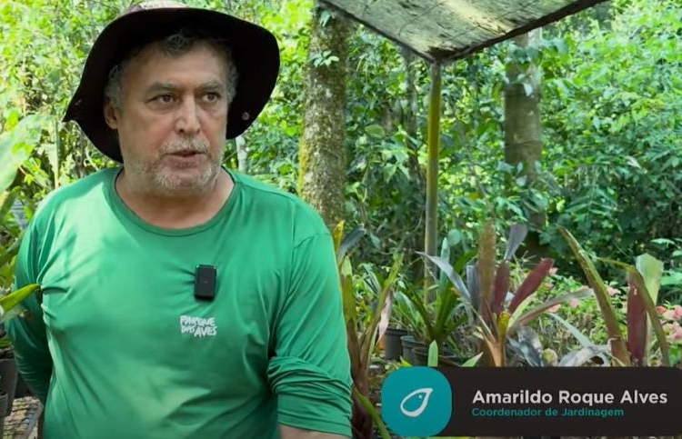 Amarildo Roque Alves trabalha há 23 anos no Parque das Aves. Foto: captura de imagem do vídeo da Loumar