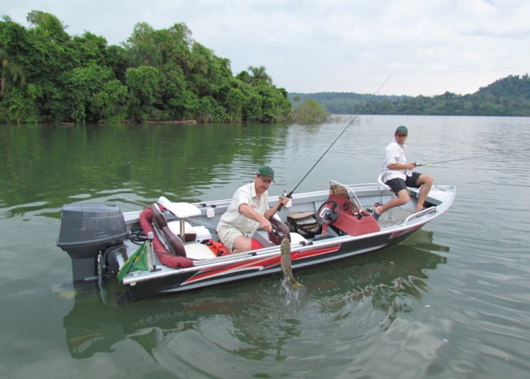 Novo ciclo do projeto Rio Vivo vai soltar 2,6 milhões de peixes nativos nas bacias do Paraná a partir deste mês
Foto: Divulgação Sedest-Pr