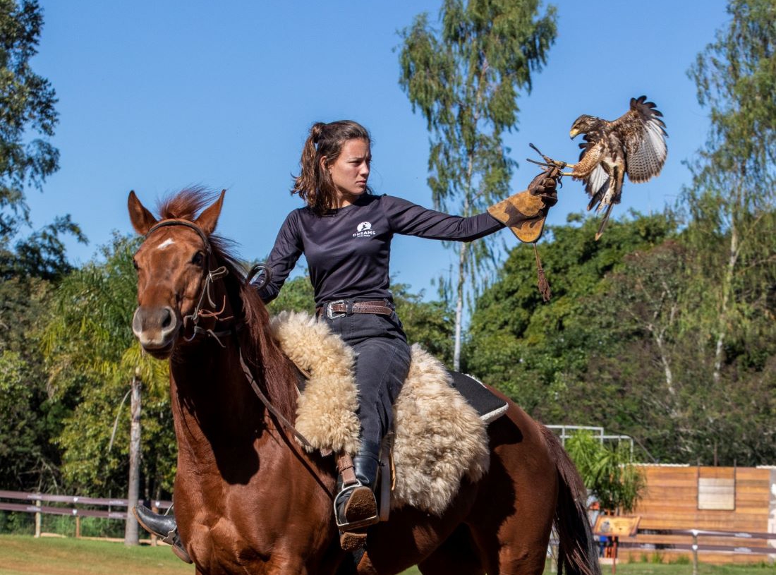 Fazendinha e aves de rapina . Foto: divulgação