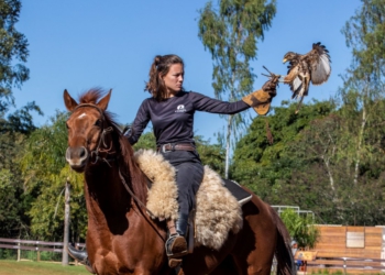 Fazendinha e aves de rapina . Foto: divulgação