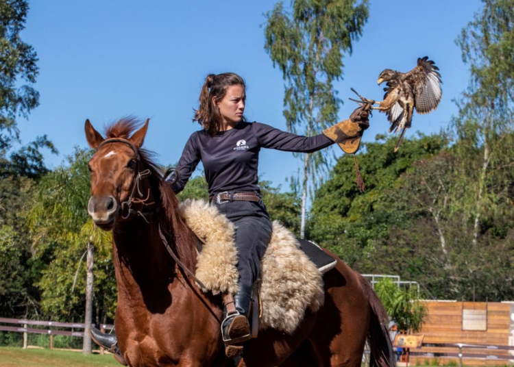 Fazendinha e aves de rapina . Foto: divulgação