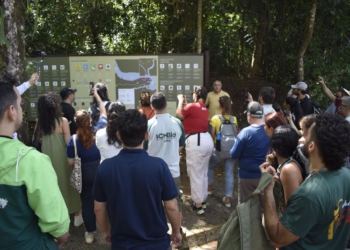 A trilha foi aberta ontem (31) para os turistas. Foto:  Bruna Nieradka