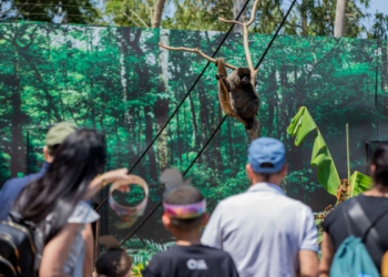 Turistas se encantam com a Floresta dos Primatas. Foto: divulgação