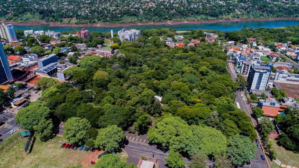 Bosque Guarani localizado no centro de Foz do Iguaçu. Foto: divulgação