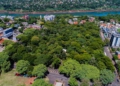 Bosque Guarani localizado no centro de Foz do Iguaçu. Foto: divulgação