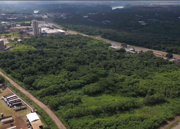 Se concretizada, a nova sede será construída nesta área de 9 mil metros quadrados, entre a sede da Polícia Federal e o Porto Seco. Foto: captura de vídeo