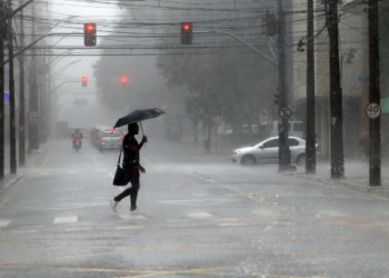 Temporal em Curitiba, cuvas de final de tarde. - Curitiba, 21/02/2019 - Foto: Gilson Abreu/ANPr
Foto: Gilson Abreu/AEN