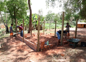 Construção de galinheiros em andamento. Foto: divulgação