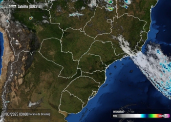 Foto de satélite divulgada na manhã desta quinta-feira pelo Simepar.