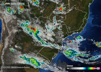 Foto de satélite divulgada nesta manhã de quarta-feira, 12 de março, pelo Simepar.